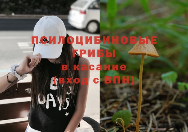 твердый Алзамай