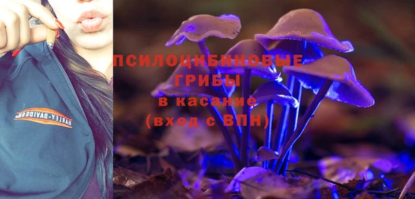 твердый Алзамай