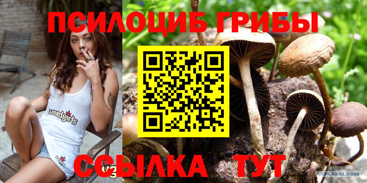 Псилоцибиновые грибы мухоморы Клин